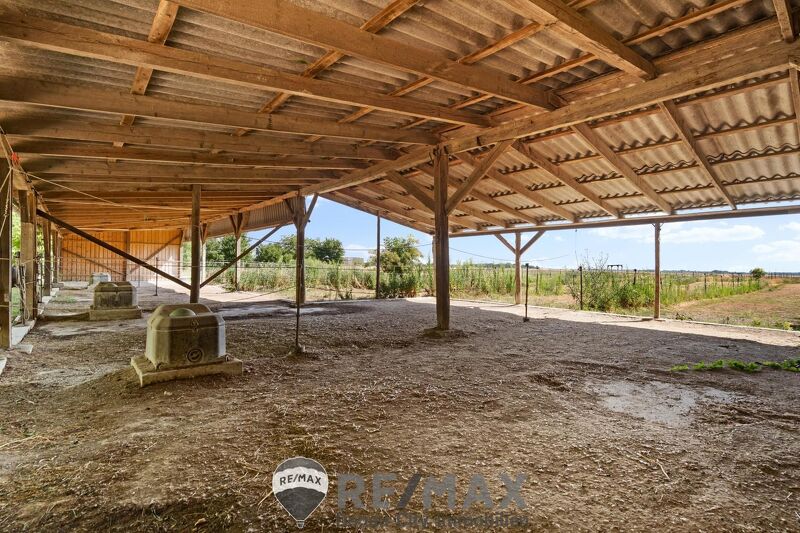 "Großzügiges Grundstück mit Pferdehof und sanierungsbedürftigem Haus ? nur Minuten von Wien entfernt"