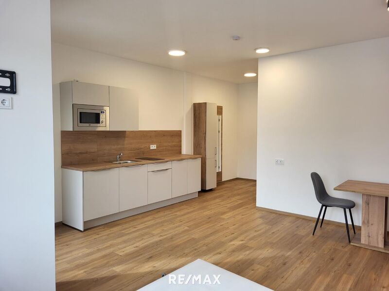 Möbliertes 1-Zimmer-Apartment mit Loggia ? 520,- inkl. BK, HK, Strom u. Wlan
