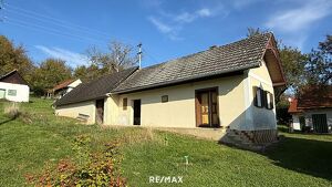 Das Herz des Weins ? Ihr Weinkeller in der Pinkataler Idylle