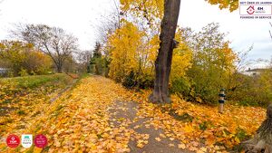 Familientraum in Retz ? Baugrundstück ohne Bauzwang