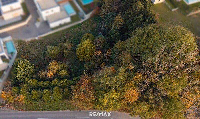 Vom Traum zum Zuhause ? 821 m² Lebensfreude in Steinhaus - Grundstück mit vielen Möglichkeiten