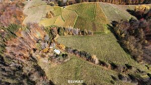 Weingarten mit Landwirtschaft und Altbestand in Kranach, Gemeinde Gamlitz