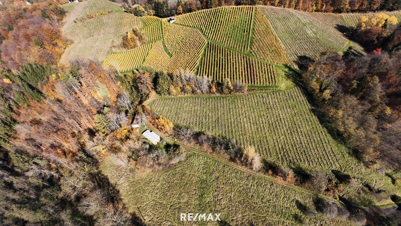 Weingarten mit Landwirtschaft und Altbestand in Kranach, Gemeinde Gamlitz