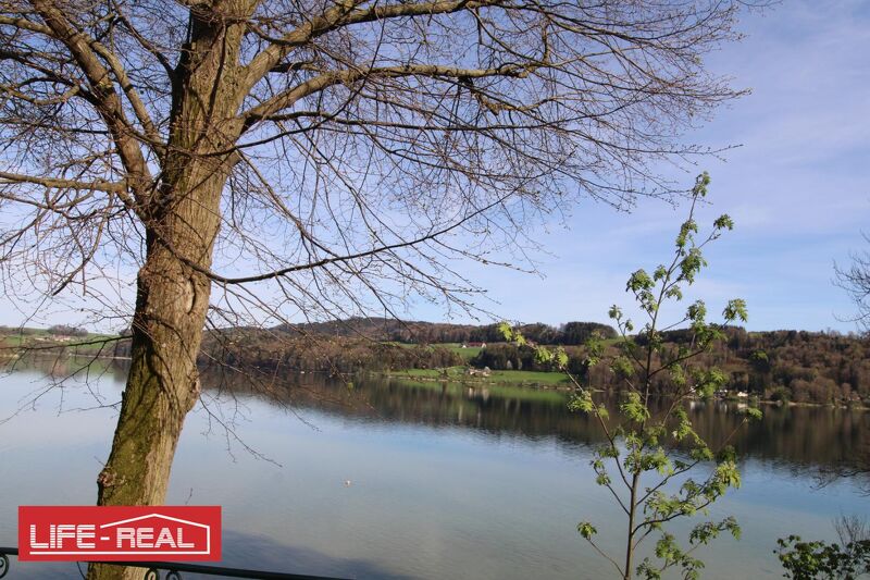 Grundst&uuml;ck mit Seltenheitswert am Mattsee, KEIN BAULAND