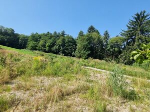 BAUGRUNDSTÜCKE - NEUPARZELLIERUNG IN SCHÖNER RUHELAGE