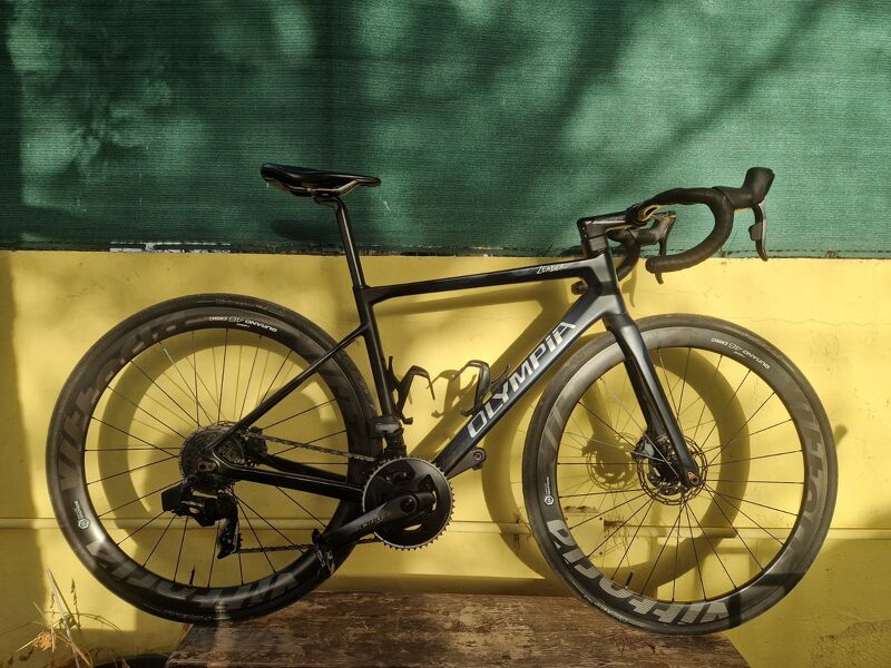 Rennrad Carbon Olympia Leader