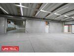 Vielseitiges Gewerbeareal mit Hallen, B&uuml;ros und Au&szlig;enfl&auml;chen in Top-Lage ? Taufkirchen/Trattnach