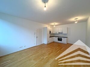 Helle 2 Zimmer Wohnung in der Linzer Innenstadt - Bahnhofsn&auml;he!
