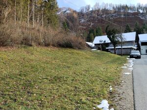 Baugrund in Gr&uuml;nruhelage