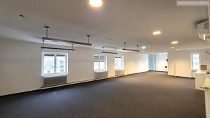 333m&sup2; oder 700m&sup2; B&uuml;rofl&auml;che im "Fabiani Haus" - letzter Stock!