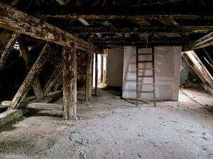 Immobilienrarit&auml;t: Rohdachboden + vermietete Einheit in der Grazer Innenstadt