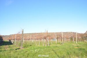 Gro&szlig;z&uuml;giges Baugrundst&uuml;ck in Rohrendorf