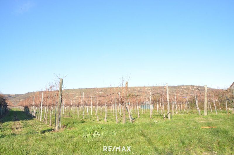 Großzügiges Baugrundstück in Rohrendorf