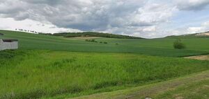 Bieterverfahren - Ernstbrunn - Sch&ouml;nes Grundst&uuml;ck ohne Bauverpflichtung
