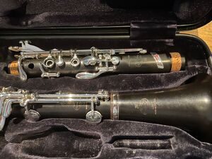 Buffet Crampon Tosca Bb Greenline Klarinette