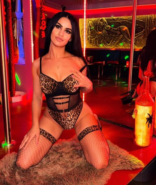 ELISA 22 - BLASE HASE