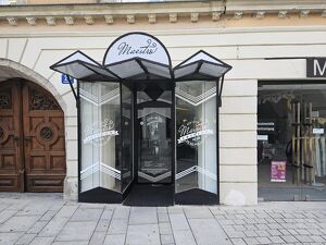 TOP-Umfeld - sanierte Gesch&auml;ftsfl&auml;che in der Welser Fu&szlig;g&auml;ngerzone - VERF&Uuml;GBAR AB 1.2.2026