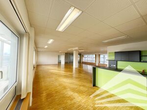 Helles 250 m&sup2; B&uuml;ro mit gro&szlig;artiger Aussicht am Linzer Winterhafen!