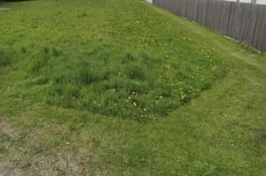 BESTE WOHNLAGE - Baugrundst&uuml;ck Axberg - Intenham  in der Gemeinde Kirchberg Thening