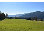 Natur pur, Alleinlage, Himmelberg