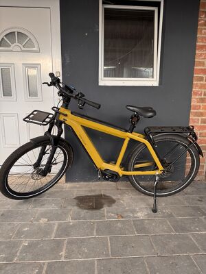 City E-Bike Riese & M&uuml;ller Supercharger2 Gt