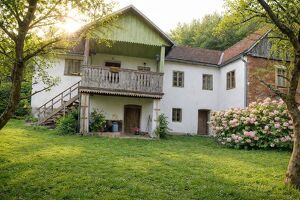 Unter 10min nach Graz: Landwirtschaft mit Eigenwald, Quellfassung und 38.000 m&sup2; Grund