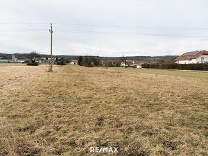 Gro&szlig;z&uuml;giges Grundst&uuml;ck in sch&ouml;ner, ruhiger, sonniger Wohngegend!