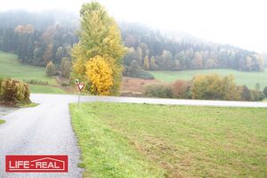 sch&ouml;ne, gro&szlig;e landwirtschaftliche Nutzfl&auml;che, in ruhiger Lage