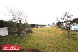 Gr&uuml;nland - Bauerwartungsland in zentraler Dorflage mit Altbestand - Potenzial auf 8.000qm