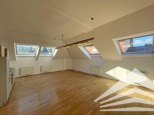Gro&szlig;z&uuml;gige, klimatisierte 2-Zimmer Dachgeschosswohnung in Alturfahr!