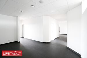 gut vermietetes, lichtdurchflutetes B&uuml;ro in Traun mit der Option Parkpl&auml;tze, zu kaufen