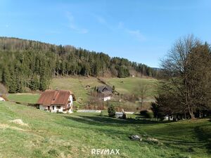 Leistbares Baugrundst&uuml;ck in herrlicher, ruhiger-sonniger Lage!