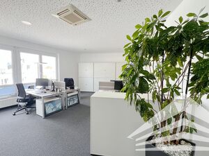 Hochwertiges B&uuml;ro mit gro&szlig;er Werbewirkung am Franzosenhausweg!