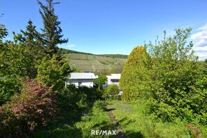 Kleingartenidylle mit Weinbergblick ? nettes  Sommerh&auml;uschen mit Potenzial f&uuml;r Neubau!