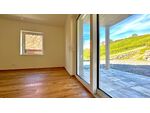 Barrierefreie 3-Zimmer Wohnung mit Terrasse inmitten der Weinberge von Kl&ouml;ch - Erstbezug!