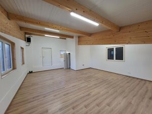 B&Uuml;RO - ATELIER - ORDINATION - AUSSTELLUNGSRAUM - GR&Uuml;NFL&Auml;CHE  ALL IN-MIETE