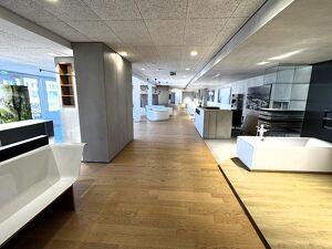 Wels B1: Bis 7.000 m&sup2; Hallenfl&auml;che + 700 m&sup2; Schauraum direkt an der Linzer Stra&szlig;e!