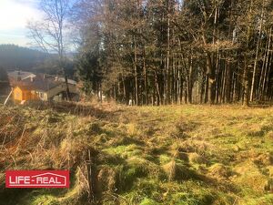 Am Wald grenzendes Baugrundst&uuml;ck
