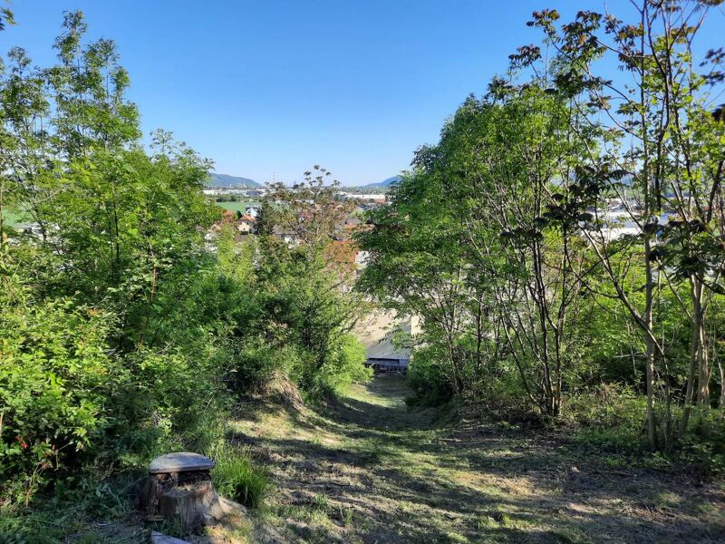 Natur vor der Haustür ? Grundstück mit Weitblick und Grünlandanschluss