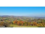 S&uuml;dsteirisches Weinbergpanorama mit Landwirtschaft und Maria-Theresia-Abfindungsbrennrecht