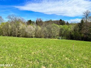 RIES: Leistbares, sonniges Grundst&uuml;ck am Rande von Graz!
