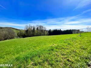 RIES: 590 m&sup2; sonniges Baugrundst&uuml;ck nahe Graz!