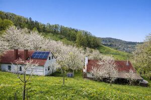 Landwirtschaft mit Eigenwald, Quellfassung und 38.000 m&sup2; Grund. Nur wenige Minuten nach Graz