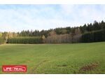 sonniges Grundst&uuml;ck mit Nutzgrund und Wald