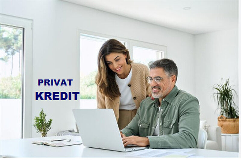 Private Kreditgeber: Privatpersonen und Unternehmen