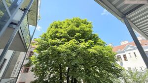 Elegante Altbauwohnung mit Balkon ? Wohnen nahe dem Augarten