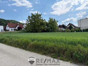 "Sonnengrundst&uuml;ck in der Sackgasse"