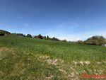 Baugrund in gr&uuml;ner Siedlungsrandlage