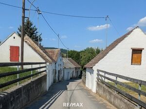 Traditionelles Presshaus mit Gew&ouml;lbe-Weinkeller und Grundst&uuml;ck