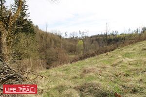 sonniges Gr&uuml;nland eingebetet neben Bach und Wald, kein Bauland